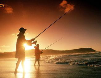 Seguros de pesca: Cuales hay y cuales necesitas